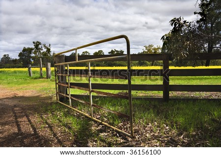 Farm gate leading to bright yellow canola field