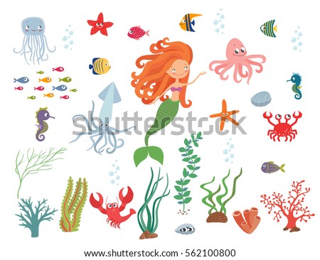 Underwater life collection. Mermaid, sea animals and seaweed on a white background