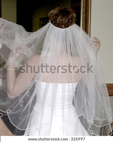 Back of a bride fixing her vail