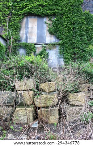 Industrial Building Covered with Ivy and Nature