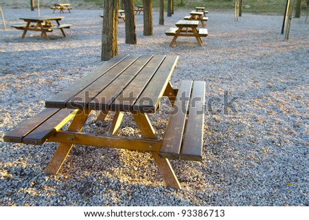 park bench at sunset in a forest