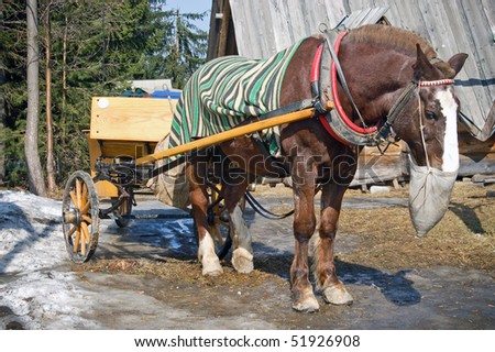 Horse under blanket standing by the cart.