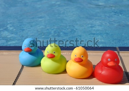 Colorful Rubber Duckies