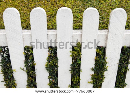 white fence with green hedge at a small house garden