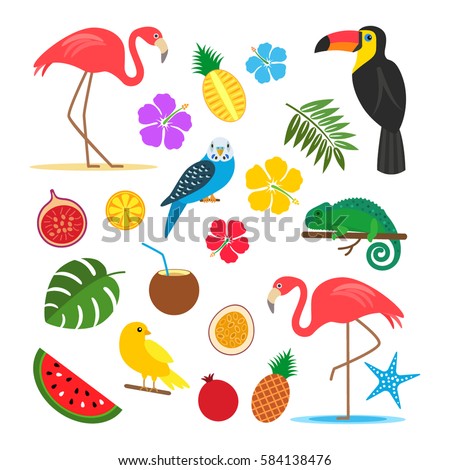 Set of tropical, exotic elements from plants, animals, birds and fruits. stickers. flat vector illustration isolate on a white background