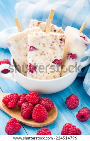 Frozen yogurt with oats and raspberries