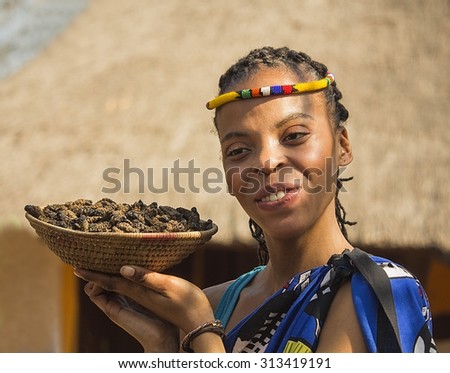 South Africa, Gauteng, Lesedi Cultural Village - 04 July, 2015. Woman Bantu nation serving eatable caterpillars for dinner. Girl showing basket of caterpillars in his palm. Delicious unusual food.