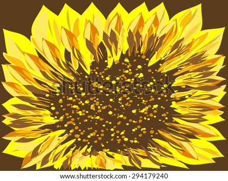 Bright yellow flower big sunflower on a dark background