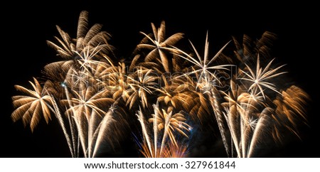 Golden fireworks in colorful shades of orange, white and yellow which look like palms.