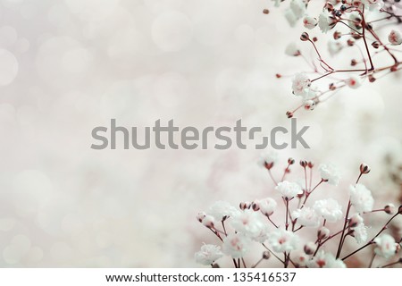 abstract flower background. flowers made with color filters