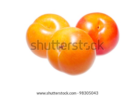 Yellow Plum Fruit