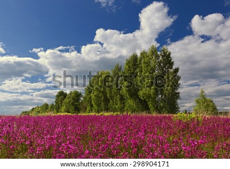 Green trees in the form of a train on a red field of \
\
flowers