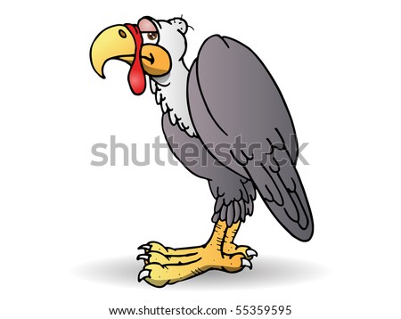A Vulture