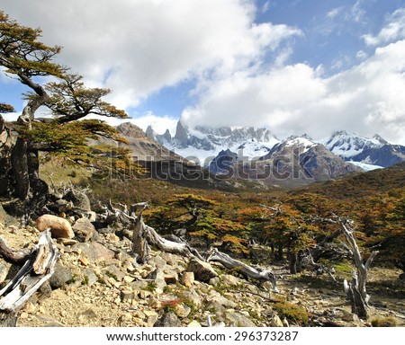 Autumn colors at fitz roy mountains panorama. Hiking up to mount fitz roy passing the most spectacular autumn scenery.