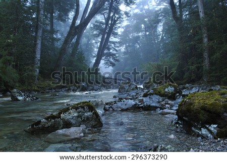 Mysterious forest stream. Waking up early, after yesterdays rain, the sun is warming up the earth giving the forest and it\'s stream a mysterious misty glow.