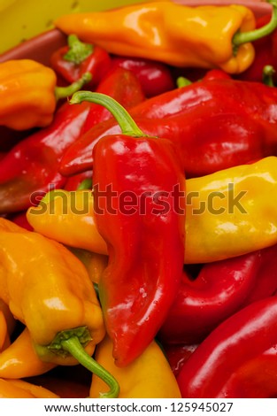Red, yellow, orange chili peppers at farmers market with focus on one