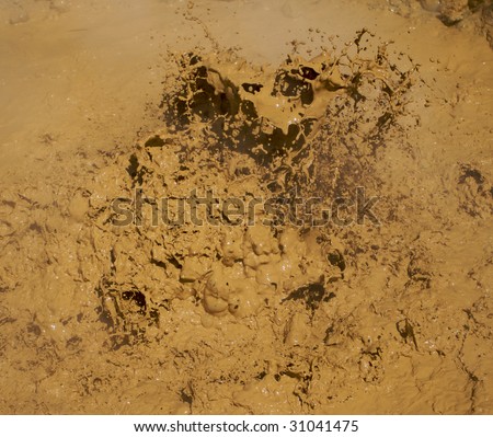 Volcanic bubbling mud pits in Lassen Park California