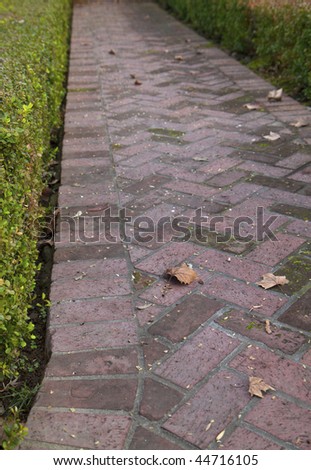 portion of red canted brick walkway with fallen leaves bordered by a gren hedgerow