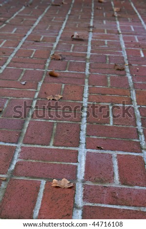 portion of red canted brick walkway with fallen leaves