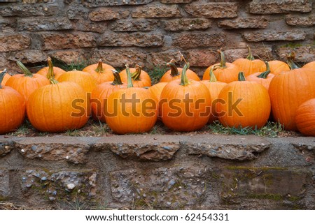 Several rows of orange pumkins on a ledge with stone wall background