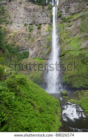 Long thin water fall against a moss covered cliff face
