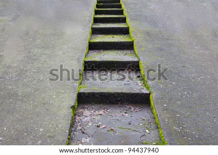 Green moss encrusted concrete driveway with sunken stairway