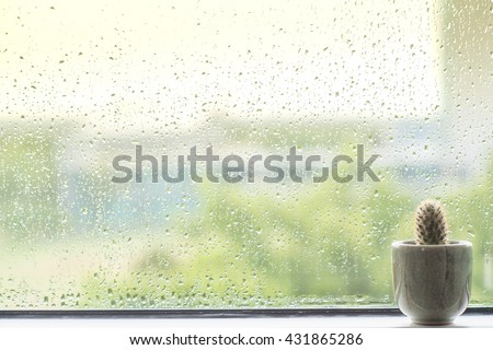 Cactus behind water drops of rain on a window glass
