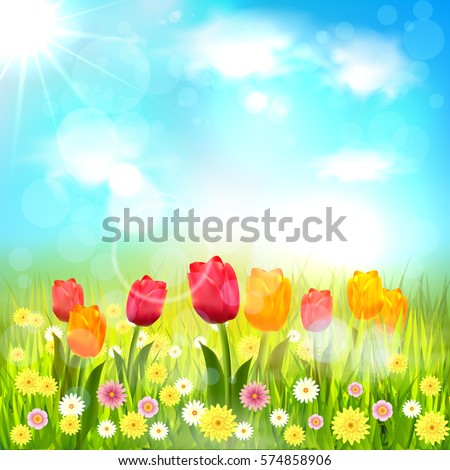 Spring. Background. Spring Card.