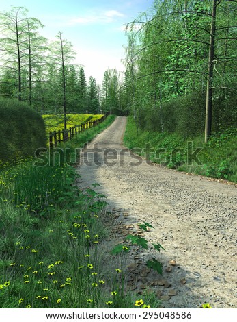 Hedgerow passes among road in summer time. Village road passes through the forest near hedgerow.