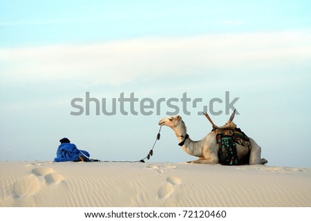 A nomad and his camel resting on top of a sand dune
