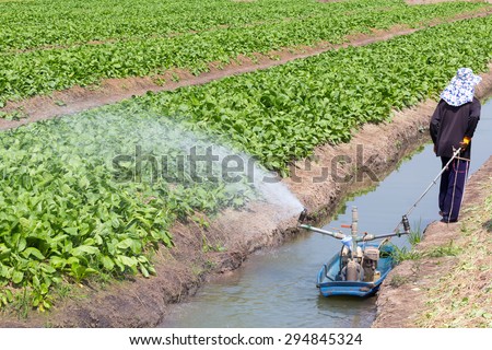 A man working at vegetable garden, watering by water pump on boat in small canal