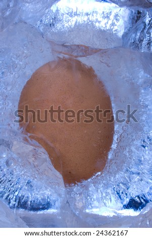 A frozen egg