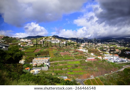 Cultivated plots of land and homes in Funchal Madeira
