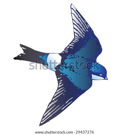 Birds Flying on Flying Bird Stock Vector 29437276   Shutterstock