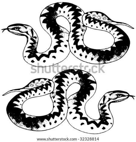 Two Snakes