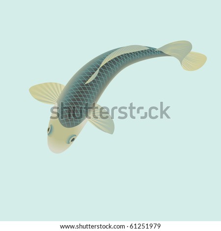 stock vector koi carp fish