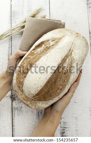 Fresh bread and wheat in hands.