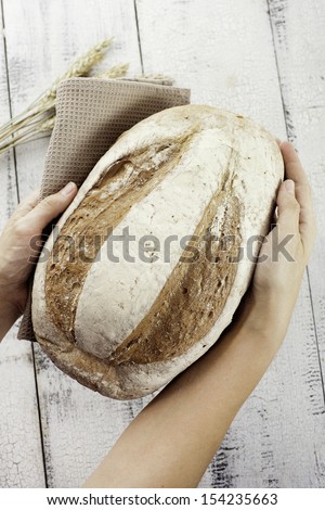 Fresh bread and wheat in hands.