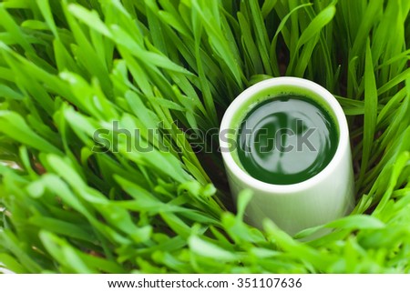 Healthy way of life. Energy from nature. Ecological wheat-grass juice. Regenerate your cells  stop ageing processes and detoxicate your body. High key isolated on white.
