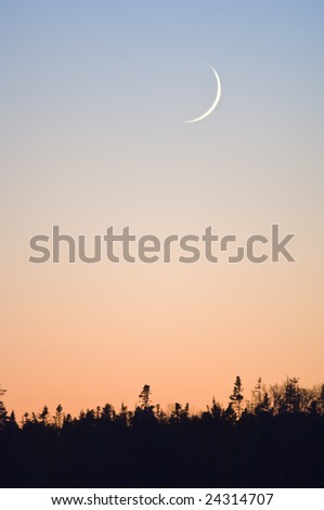 New moon Crescent above wooded horizon at sunset.