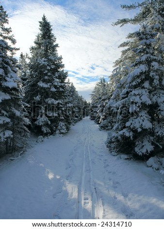 Trans-canada Hiking Trail in winter, atlantic coast, Canada.