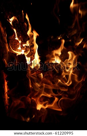 a picture of a flame of burning wood 2