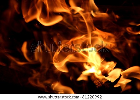 a picture of a flame of burning wood 3
