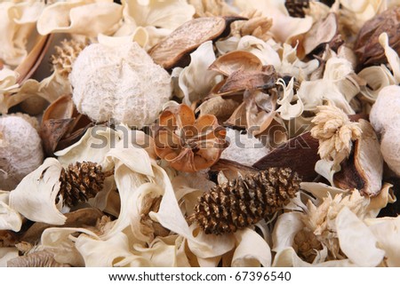 a picture of dried plants for decoration 8