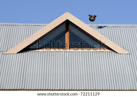 Corrugated Iron roof