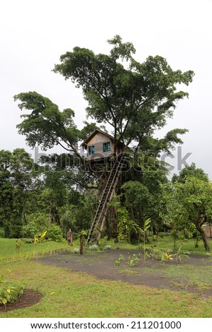 Tree House, Vanuatu