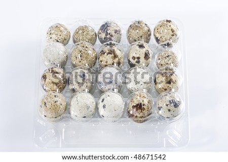 Close-up view of a tray of quails eggs