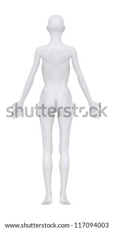 dorsal anatomical position