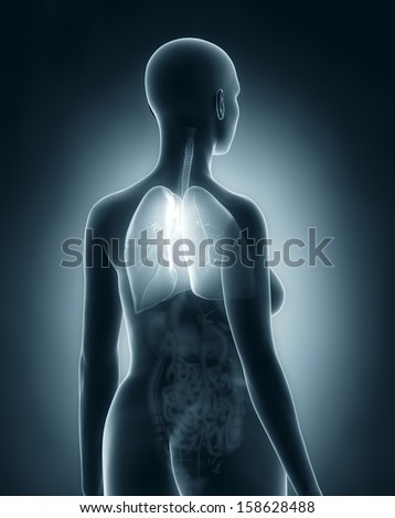 Woman respiratory system anatomy x-ray black posterior view