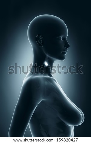 Woman thyroid anatomy x-ray lateral view
